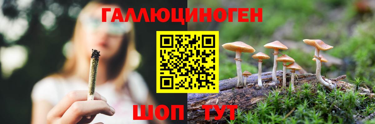Псилоцибиновые грибы GOLDEN TEACHER Ульяновск